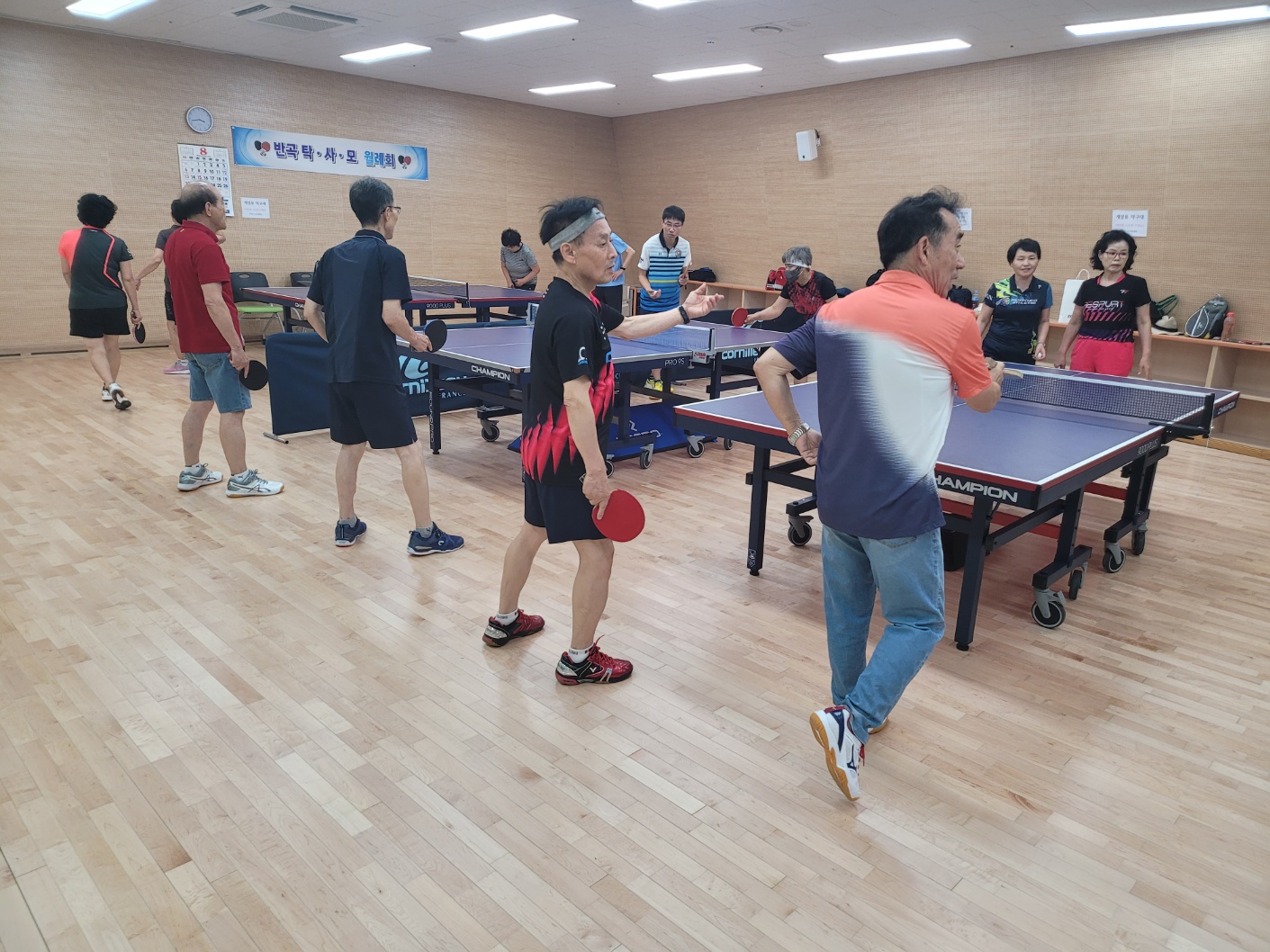 생활체육지도자 (탁구) 대면지도 수업사진