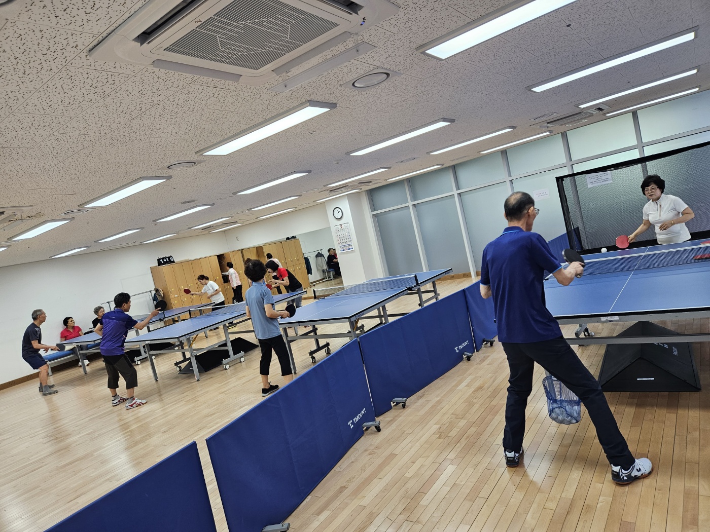 25년 3기 탁구 신규참가자우선/ 고운동남측 복컴 3층 탁구장/ 초급반