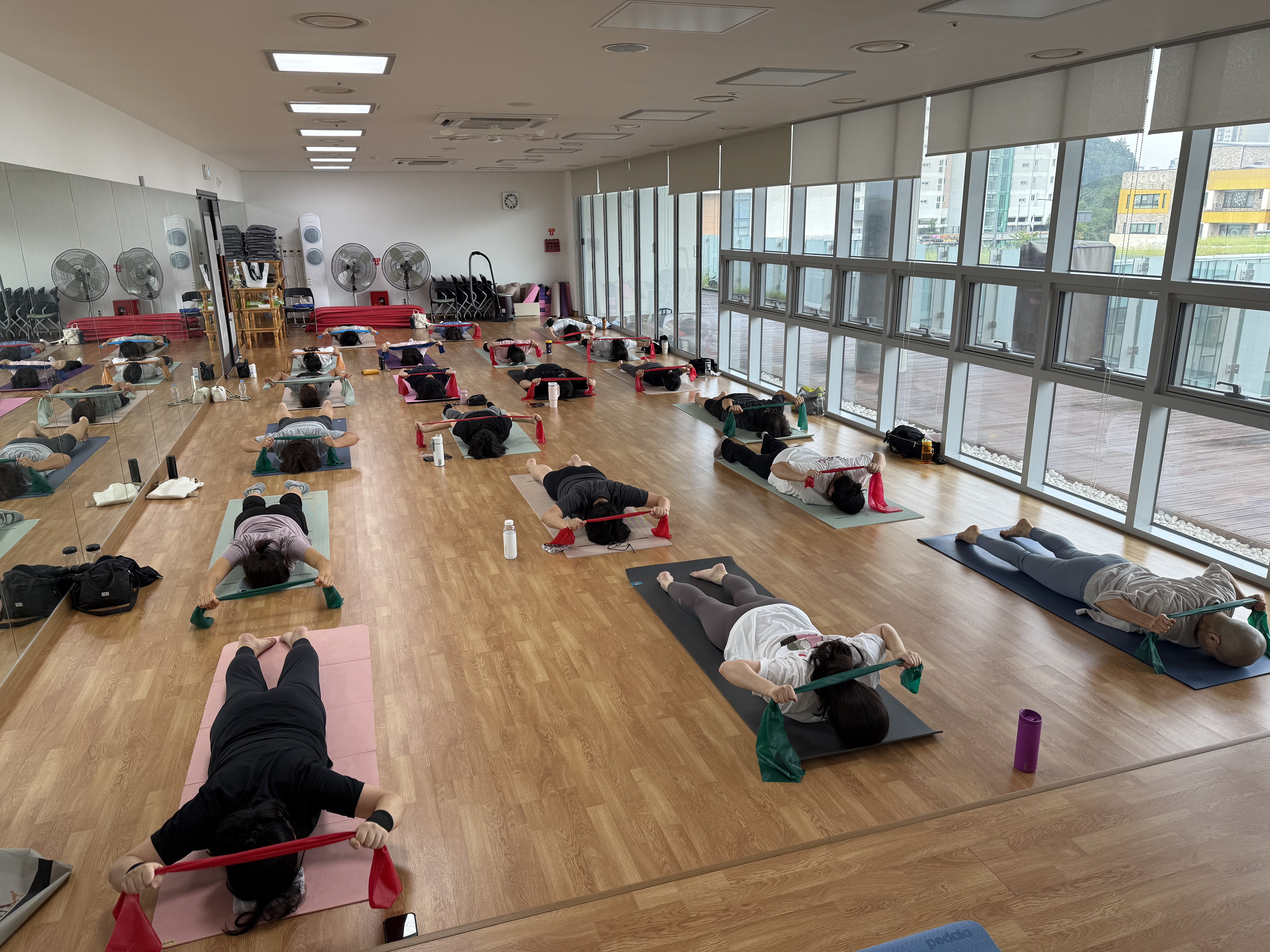 (새롬동)2026년 1분기 밴드근력강화(남부보건소 3층 코뿔소방)
